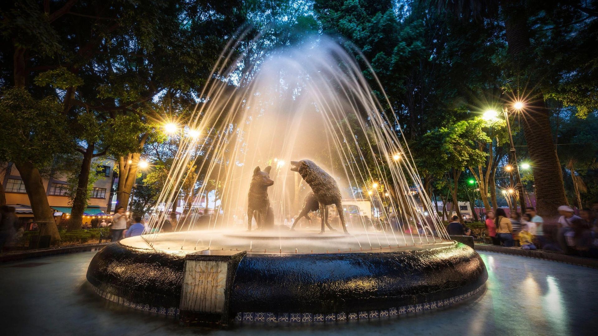 a fountain of water