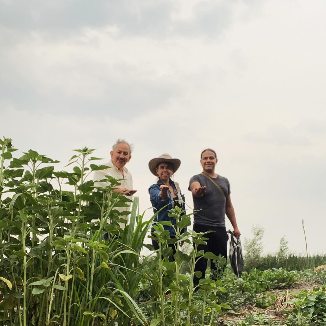 a group of people standing in the grass